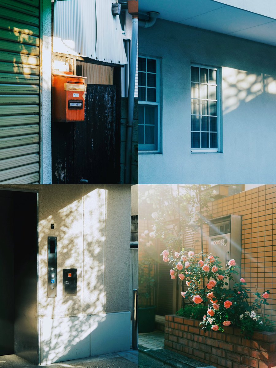 Kimura Hinami (@hinamin012) on Twitter photo 