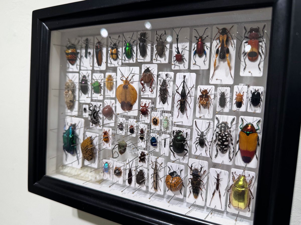 Keiki FUKUI 福井敬貴 tweet media