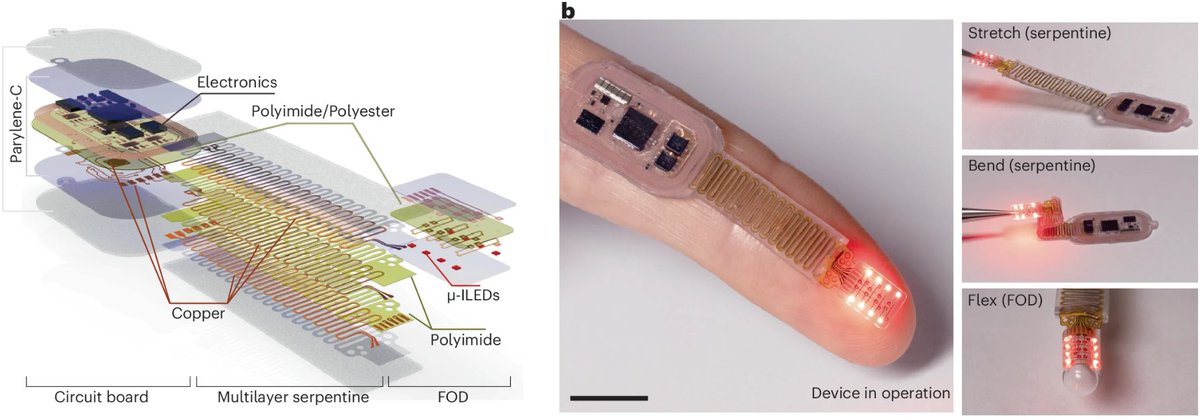 Bioelectronics Drop tweet media