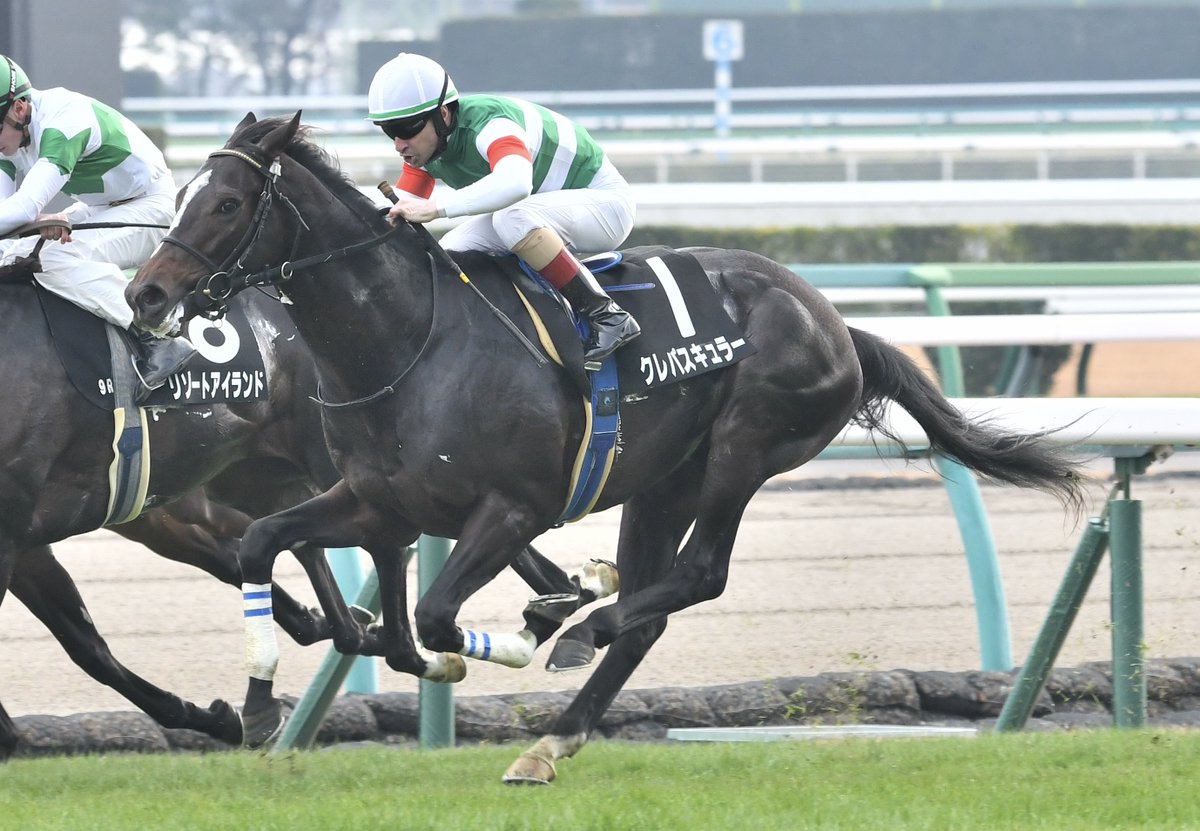 本日の中山9Rひいらぎ賞はクレパスキュラー（クリストフ・ルメール