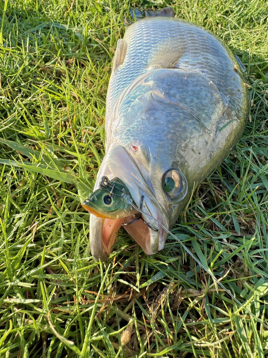 ⭐️かっきー⭐️ かっちゃん 2008 Kawasaki ZX14 - AK MotorsAK Motors