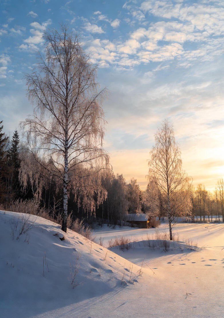 NurseLJohn707's tweet image. Happy Saturday.