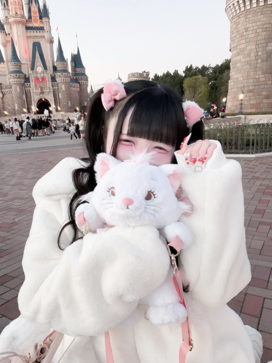 にゃーん＞ ·̫ ｑ