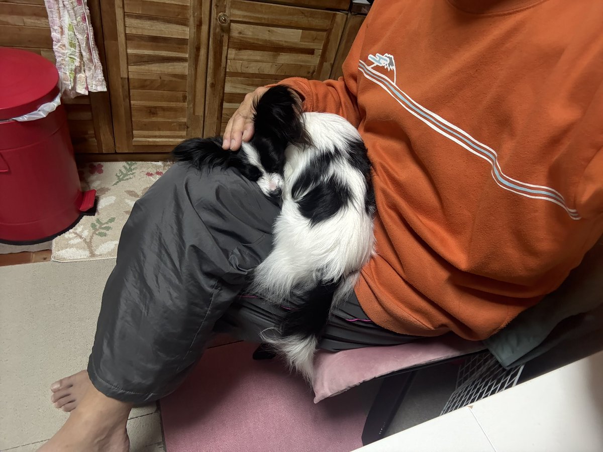 じぇ〜 (@jjj3jjj3jjj3jjj) / Posts / X