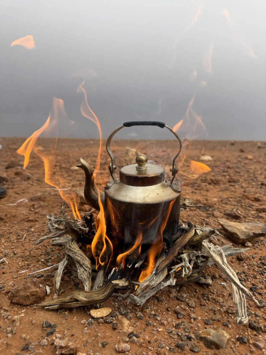 مساء الخير ..