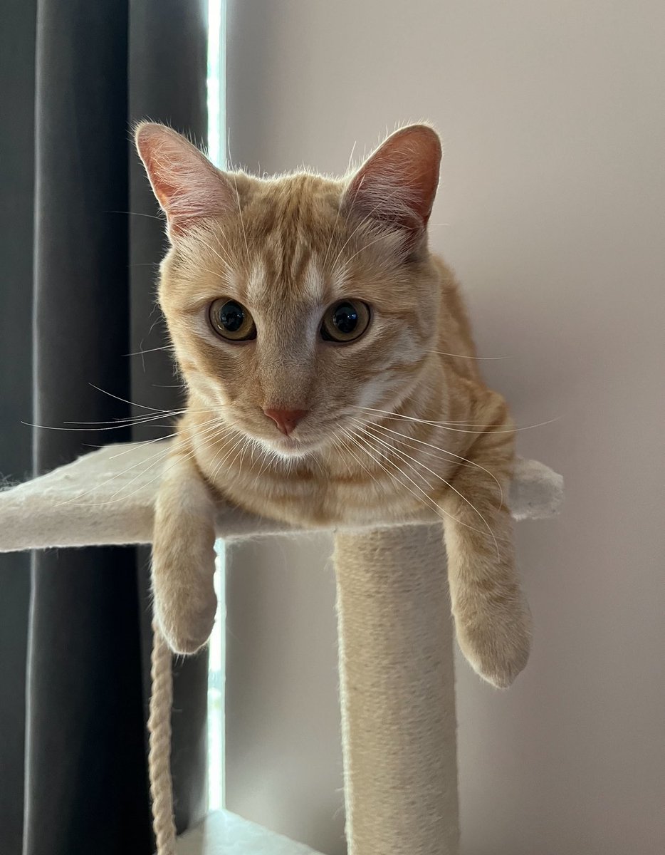 fncred's tweet image. Mon fils a 2 ans 🥹