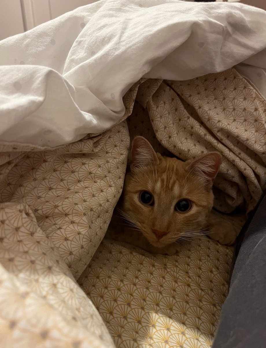 fncred's tweet image. Mon fils a 2 ans 🥹