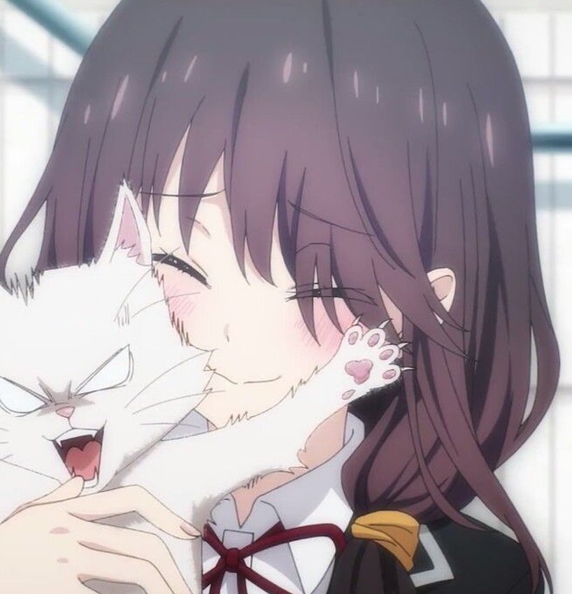 RealtorSpangler's tweet photo. こんにちは〜 今日は落ち着いてる。休憩タイム〜。ゆっくり寝よ〜 💻 🦥 https://t.co/OanEyUUsbB