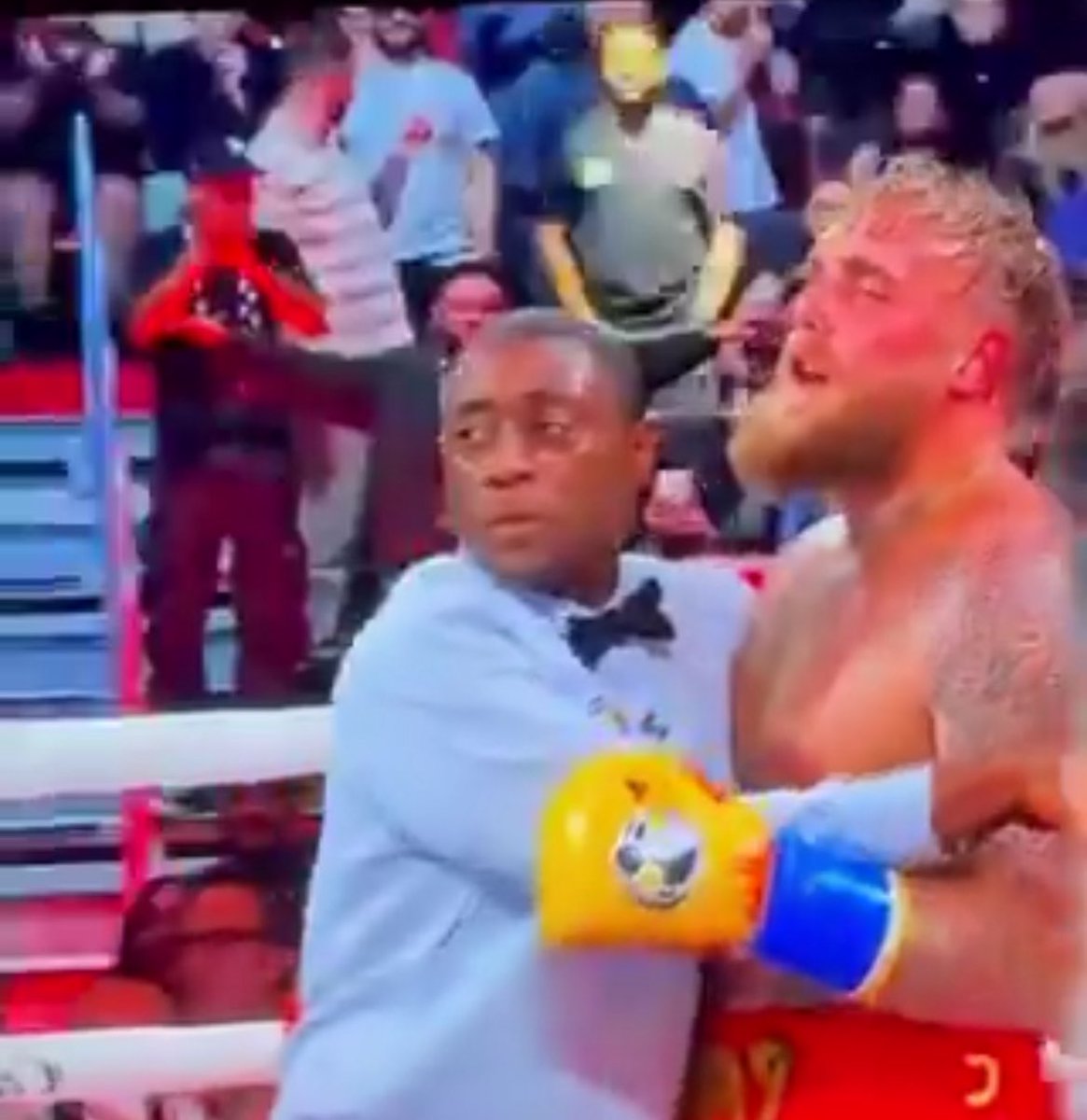 The refs face is k!lling me 😂😂😂 #JakeJoshua