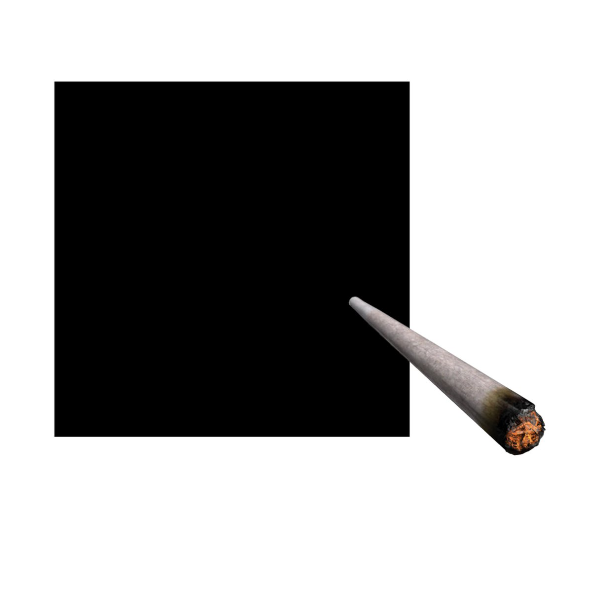 dossier Epstein qui fume