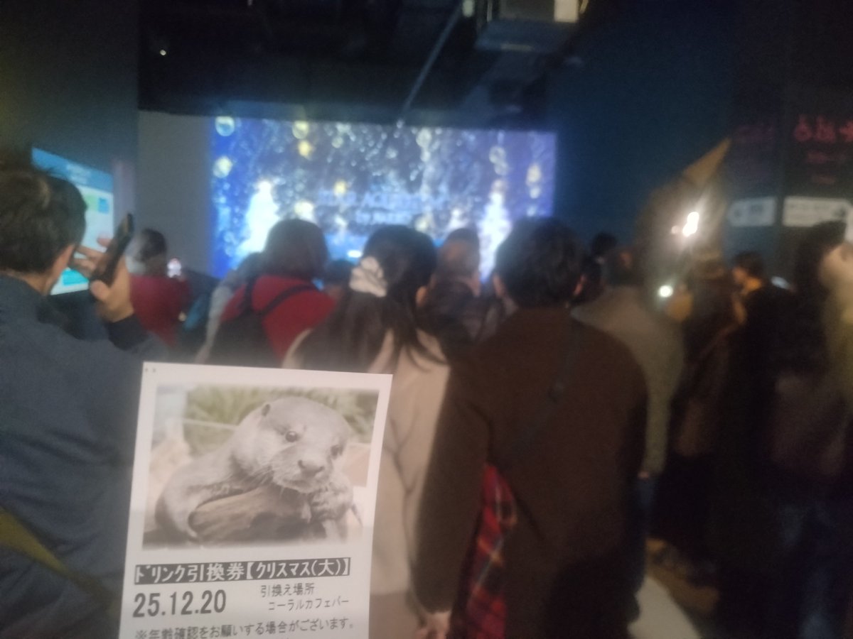 Post by 加藤忍RS on X: 待機なう☺