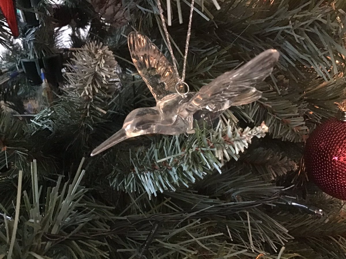 Jacqui Sydney 📕 tweet media