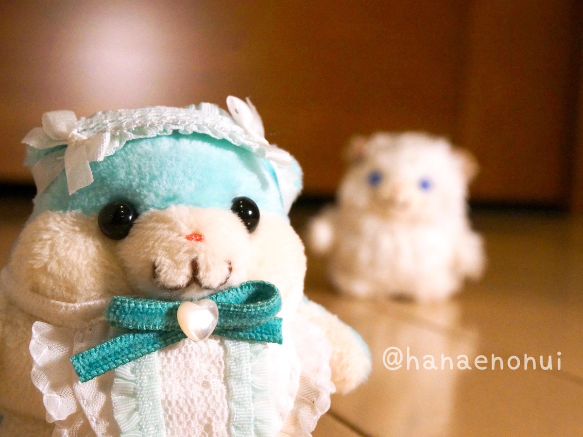 はなえのぬいぐるみ (@hanaenonui) / Posts / X