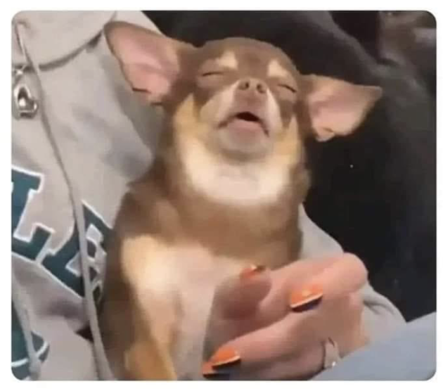 H-E-B México tweet media