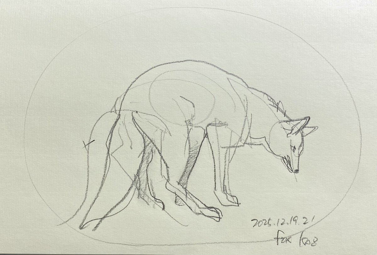 こんばんは 鉛筆ドローイング キツネ ちょっと猫背で覗き込む様子が