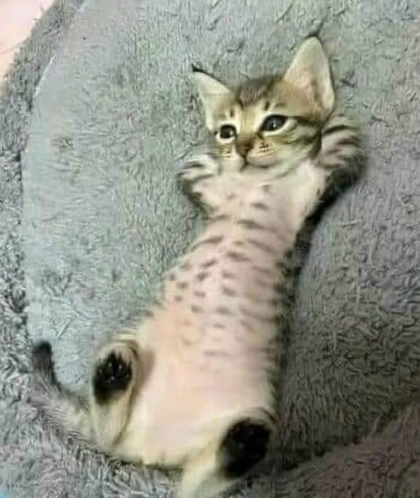 كيف اجلس وانا مراكم كل شيء