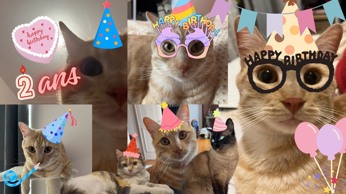 Yuna_VLR's tweet image. Joyeux anniversaire mon beau fils 🥳🤍