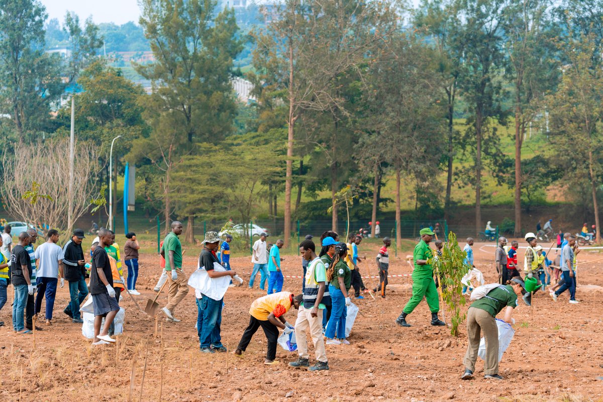 REMA_Rwanda's tweet image. Umuganda udasanzwe witabiriwe n'abayobozi mu nzego zitandukanye, abaturage b'umujyi wa Kigali n'abafatanyabikorwa batandukanye mu kubungabunga ibidukikije.

Ibiti byatewe mu gishanga cya Rugenge-Rwintare bizafasha mu gusubiranya indiri z'urusobe rw'ibinyabuzima.

#GreenRwanda🇷🇼🌿