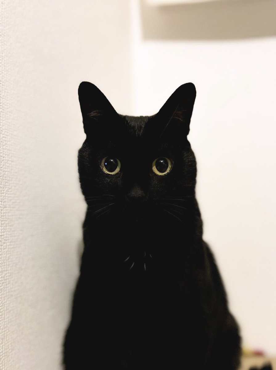 G8m9CJpagAAcNpD.jpg?format=jpg