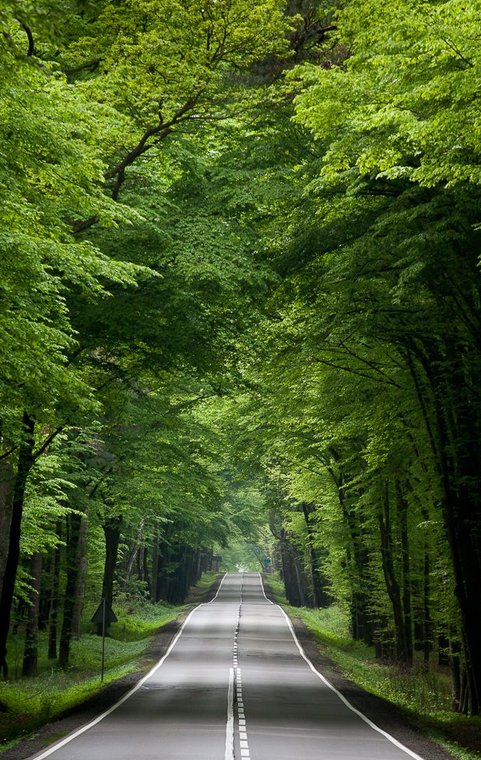 髪乾かして寝よ〜なんか幸せだな〜 💪 🍏