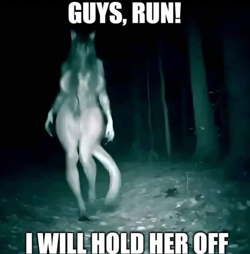 Shitpost 2077 (@shitpost_2077) on Twitter photo 