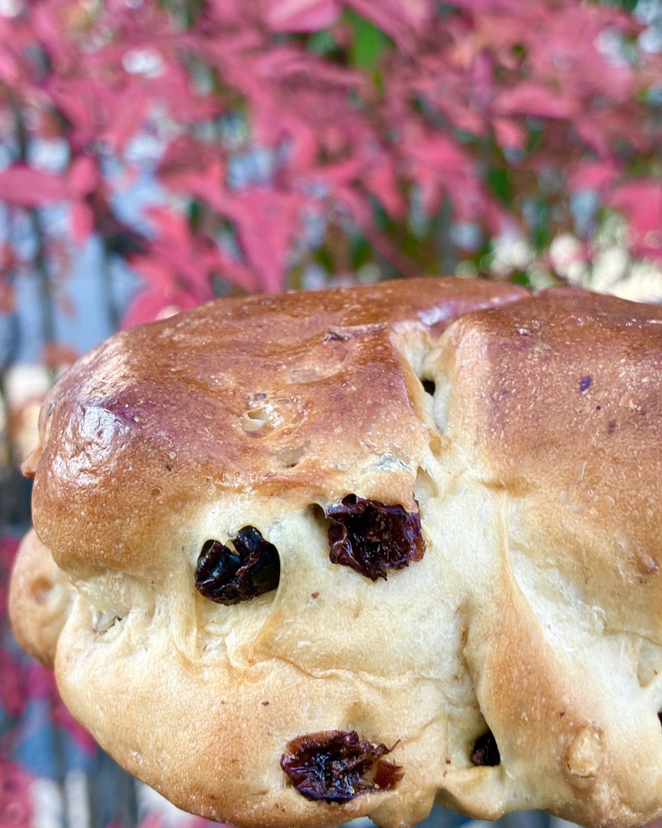 🎀🌸Rose(ﾛｰｽﾞ)🌸🎀 (@Rose210069297) / Posts / X