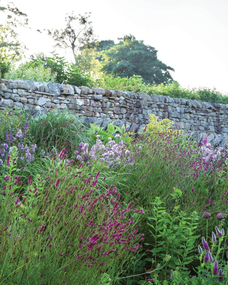 GdnsIllustrated's tweet image. This is what happens when a garden designer couple with wildly different tastes take on a new home garden 🌿

🔗 gardensillustrated.com/gardens/countr…

📸 Annaïck Guitteny
✍️ Jack Wallington

#gardendesign