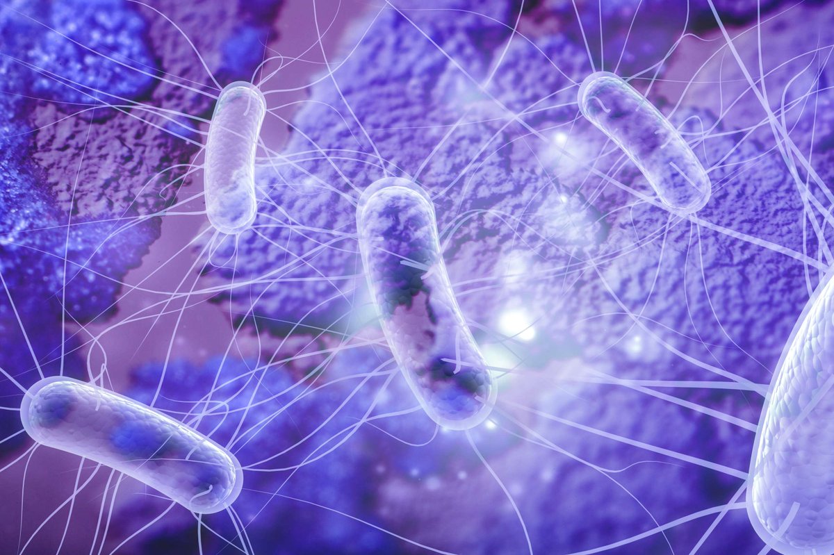 University of Pretoria tweet media