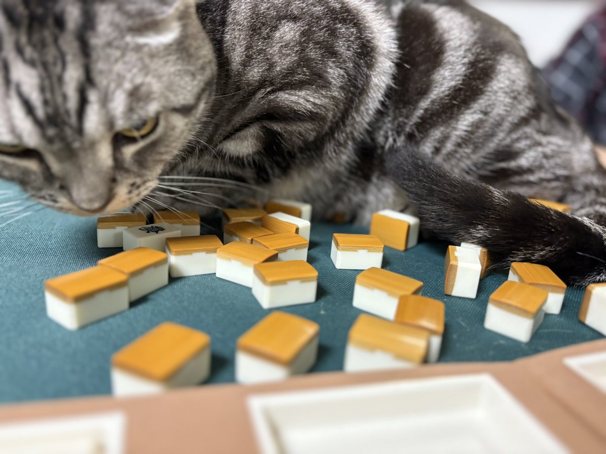 toc000's tweet image. 猫、襲来🀄️