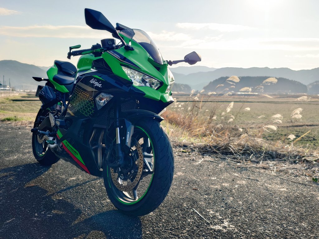 nyan 9月半ば ◇[N25SC106]THE NORTH FACE PURPLE LABEL(ザ・ノース・フェイス