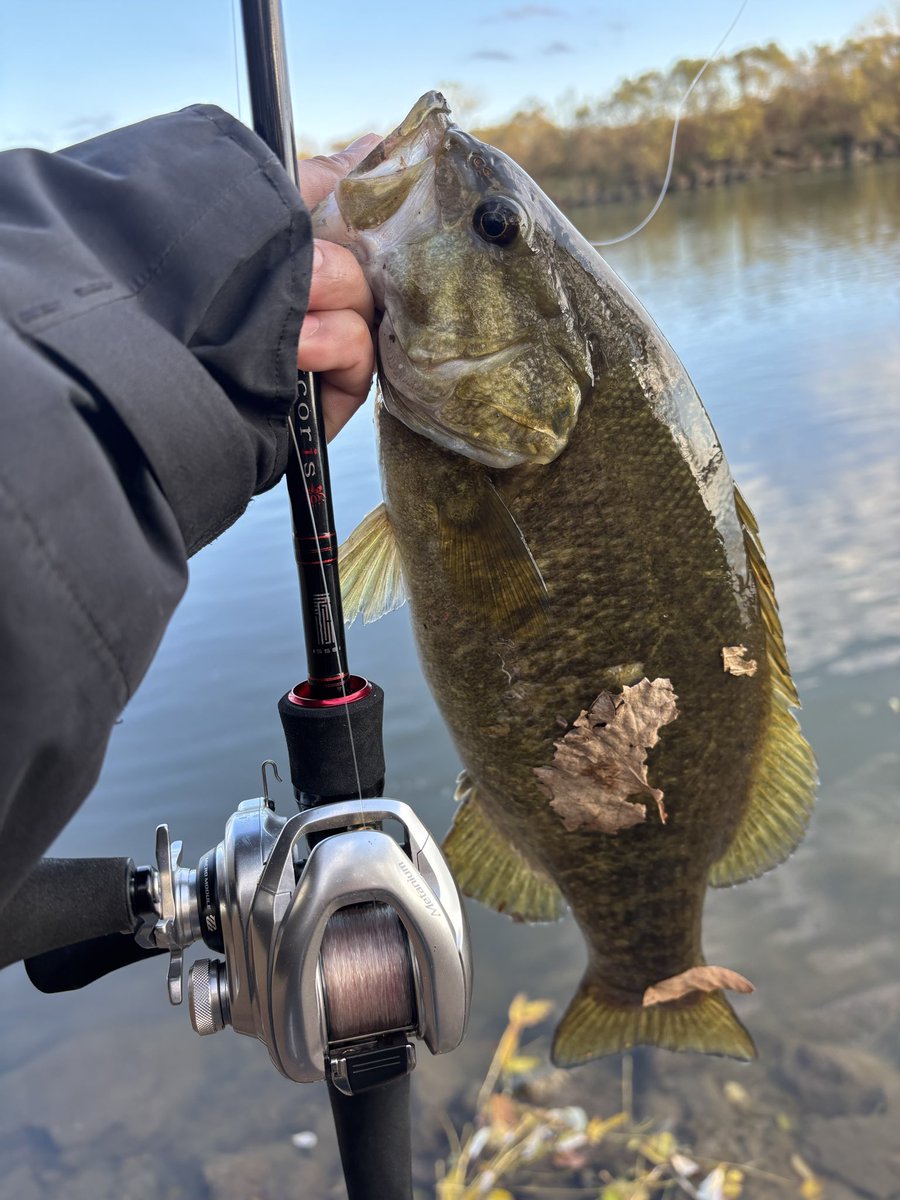 ✳︎もりもり✳︎ Webike | MORIWAKI ENGINEERING モリワキエンジニアリング フル