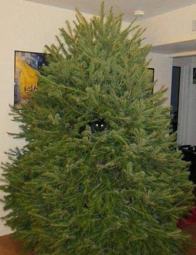 womensart1's tweet image. This time of year can be very difficult for many (and extremely hard work too)....Everyone is welcome here &amp;amp; thoughts are with you all ❣️
#Christmas #Midwinter #Winter