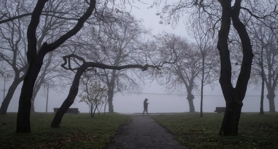 عاجل الأردن.. طقس بارد وتحذيرات من الضباب والصقيع خلال الأيام المقبلة 