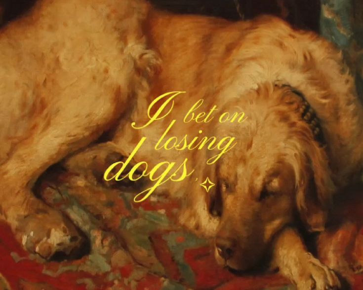 caninepoetry_'s tweet image. 