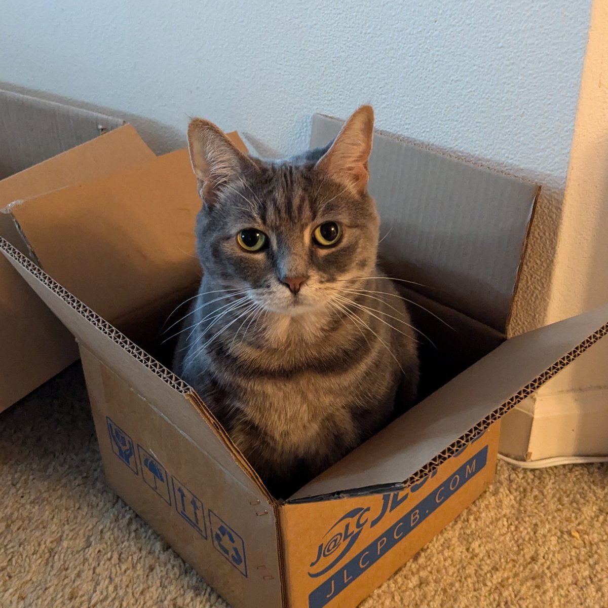 cnlohr's tweet photo. Friday approves of JLCPCB's spectacular double walled shipping box quality. https://t.co/pW3muP1sQQ