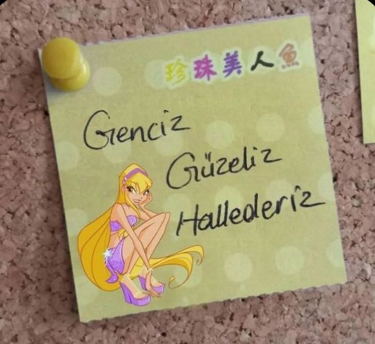 IŞILTI (@paradiseperisi1) on Twitter photo 