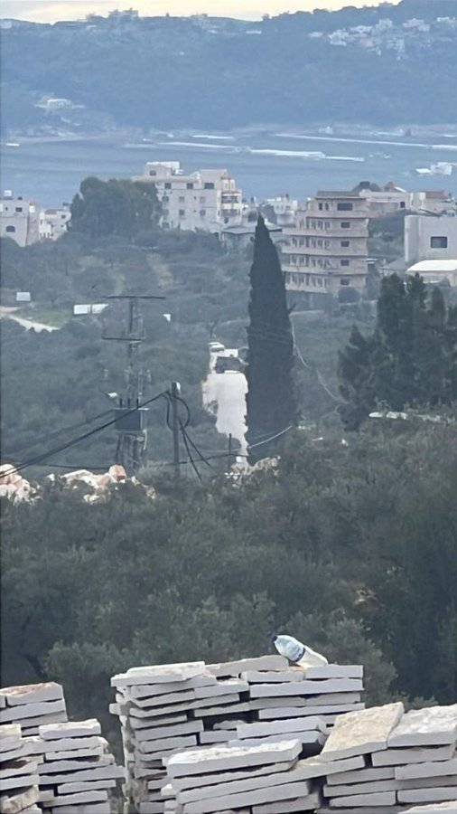 palinfoen's tweet photo. Israeli occupation forces set up a military checkpoint at the entrance of the town of Zababdeh, south of Jenin.
#GazaGenocide
#Aqsaunderattack
#europe #Gaza #Palestine
#Israeliwarcrimes #غزة https://t.co/90gseb4NCk