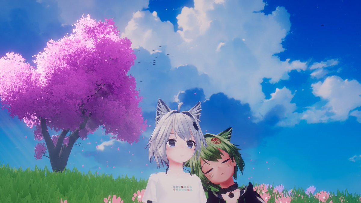 三毛猫♡ 欧米では珍しい？ 三色の柄につつまれたミケ猫の魅力と言い伝え｜ね