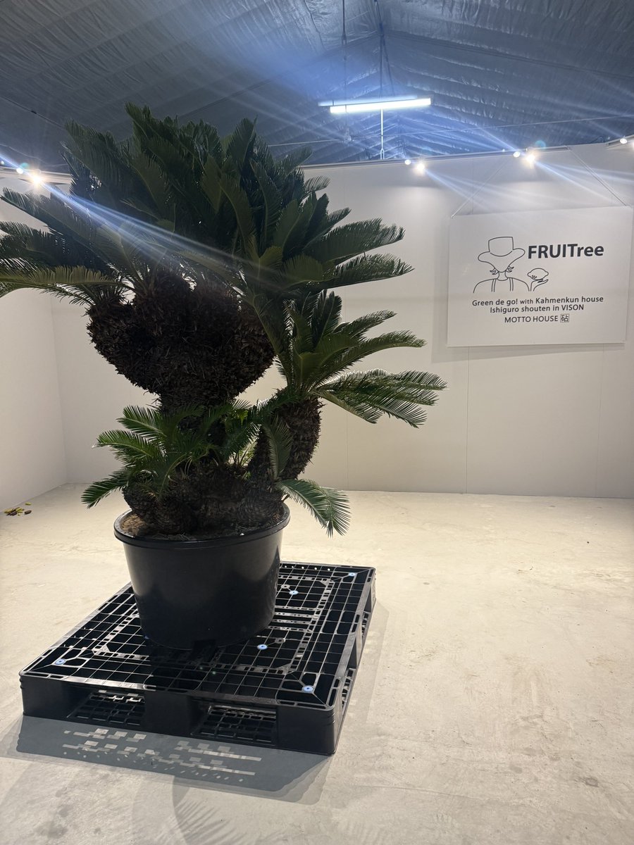 ドドドドドドド・・・・