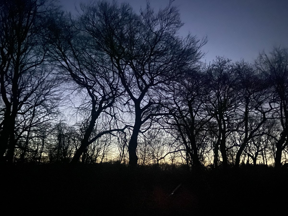 Heaton parkrun tweet media