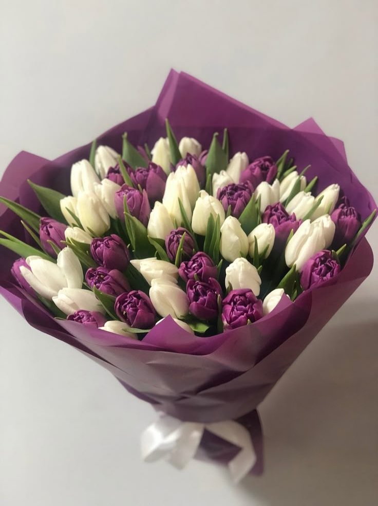 Really_Renuka's tweet photo. जन्मदिवस की हार्दिक शुभकामनाएं एवं बधाई हो गौरव 💐🎂😊
ईश्वर का आशीर्वाद सदा बना रहे 🙏😊
@GauravTejwani13 https://t.co/eFXWsRIfxJ