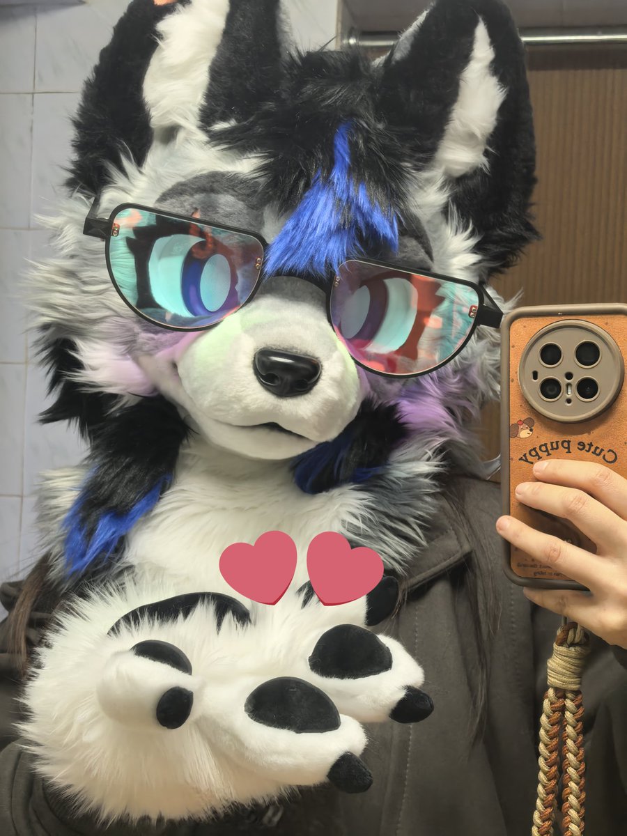 lanyu1231's tweet image. The paws and glasses that came with it before you sent it #furry #fursuit