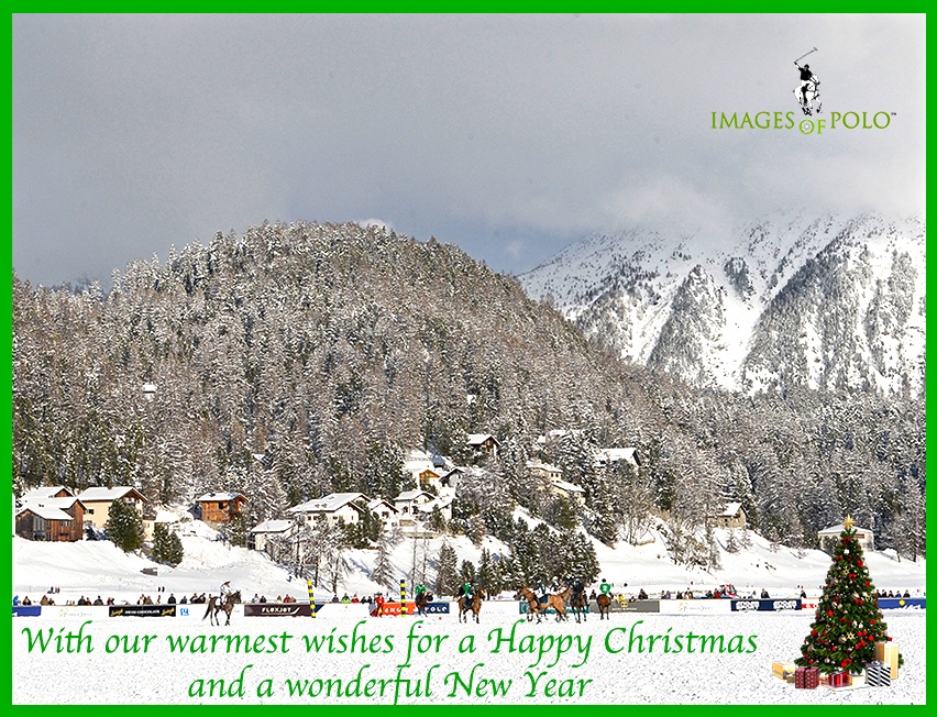 Images of Polo tweet media