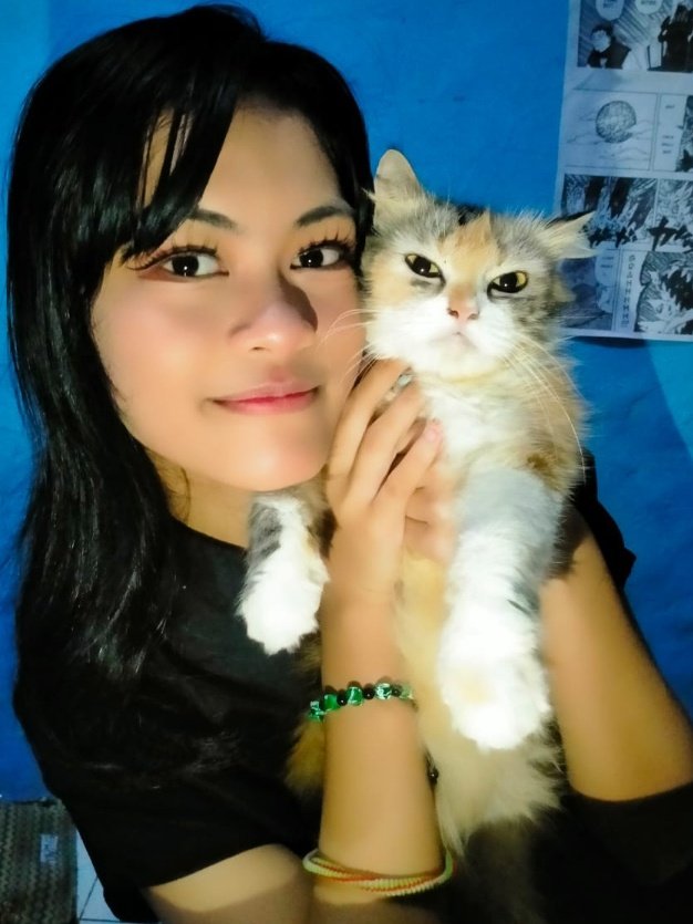 Adit Aja45 (@adit_ciper) on Twitter photo 