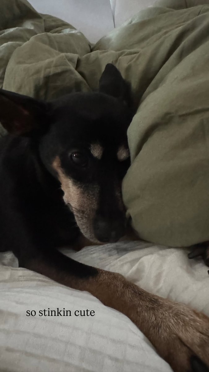 PRINCESS LORI 🥹🥹