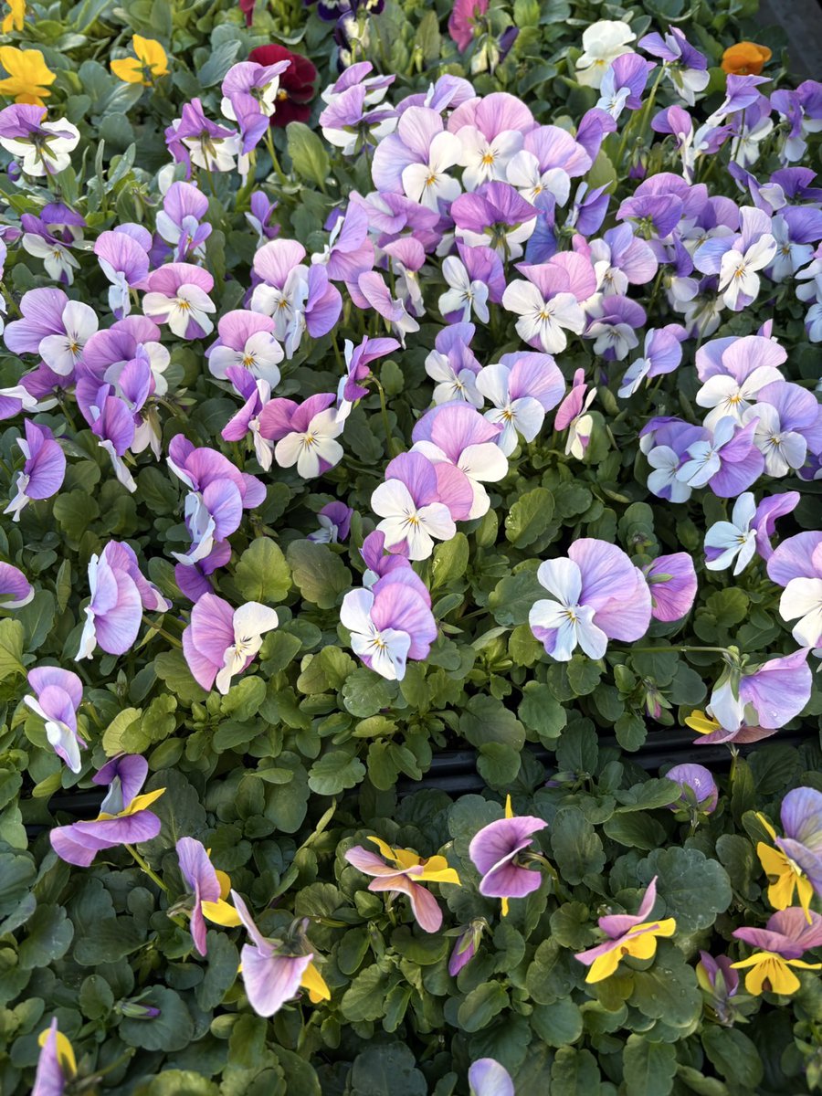 大切な人がいます💖 ずっと今でもこれからも大好きだよ♡