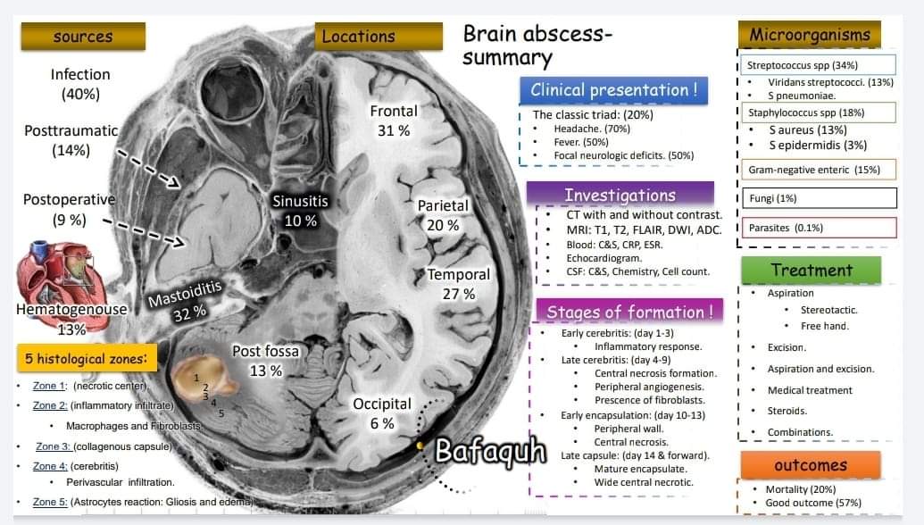 🧠 𝗕𝗿𝗮𝗶𝗻 𝗔𝗯𝘀𝗰𝗲𝘀𝗱 – Key Points !
ᶠᵒᶜᵃˡ ⁱⁿᵗʳᵃᶜʳᵃⁿⁱᵃˡ ⁱⁿᶠᵉᶜᵗⁱᵒⁿ
1- 𝗦𝗼𝘂𝗿𝗰𝗲𝗱: sinusitis, mastoiditis/otitis, hematogenous spread, trauma, post-op.
2- 𝗟𝗼𝗰𝗮𝘁𝗶𝗼𝗻𝘀: frontal &amp; temporal lobes.
3- 𝗦𝘆𝗺𝗽𝘁𝗼𝗺𝘀: headache, fever, focal