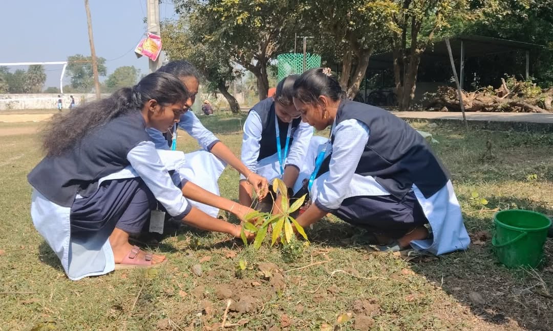 SvistNssUnit's tweet photo. One sapling, one future 🌱
Day 4 of NSS Special Camp – Mega Plantation Drive 💚
Together for a greener India 🇮🇳 #PlantMoreTrees #nss2025 #svist https://t.co/omEX9fcy9R