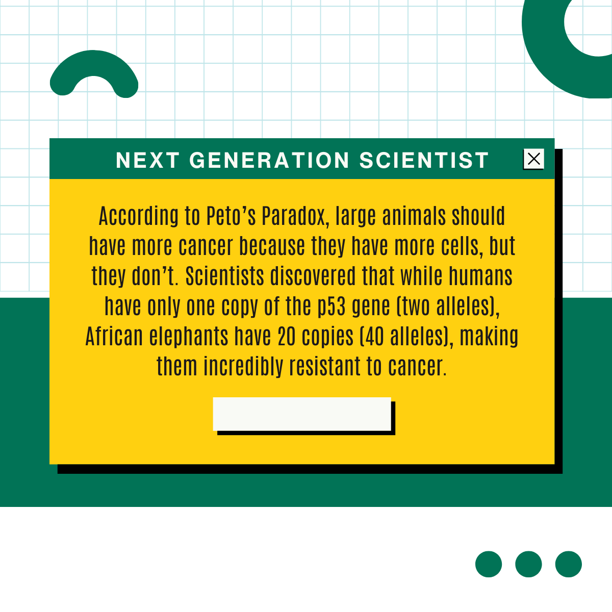 ngsbiology's tweet photo. Scientists are now studying this "Elephant Secret" to develop new ways to protect human cells!
#EvolutionaryBiology #PetosParadox #ElephantFacts #CancerPrevention #Genomics #IntegratedScience https://t.co/ZmeEYLOiRb