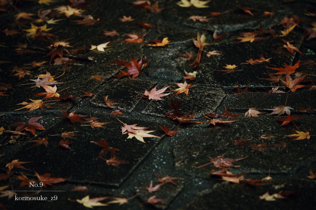 ▷ I wish you a good day. …